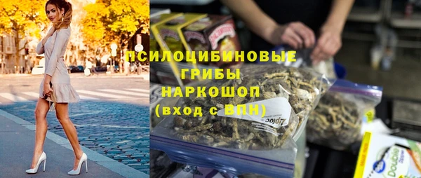 первитин Ладушкин